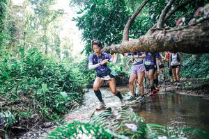 BIB: 
                            <button type="button" onclick="openModal(25457634)" class="btn btn-primary btn-sm float-right btn-popup" data-toggle="modal" data-target=".modal-high-quality">
                        <i class="fas fa-shopping-cart"></i> Add to Cart
                    </button>
                                            <button type="button" onclick="isThisMe(25457634, true)" class="btn btn-success btn-sm float-right btn-popup btn-isme hidden" data-toggle="tooltip" data-placement="bottom" title="นี่คือรูปของคุณใช่ไหม คลิกที่นี่เพื่อเอาเข้าอัลบั้ม">
                        <i class="fas fa-plus"></i> Add to album
                    </button>
                    <button type="button" onclick="isThisMe(25457634, false)" class="btn btn-warning btn-sm float-right btn-popup btn-isnotme hidden">
                        <i class="fas fa-ban"></i> Remove from album
                    </button>